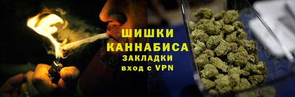 сатива Беломорск