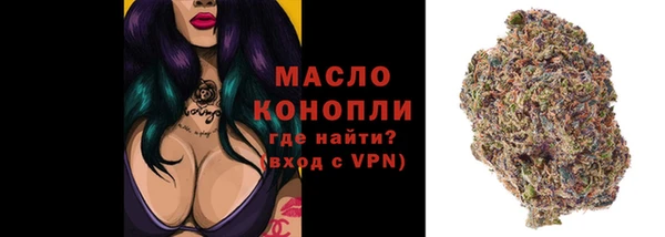 сатива Беломорск