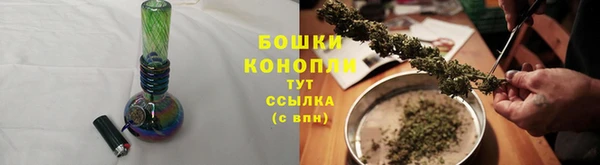 сатива Беломорск