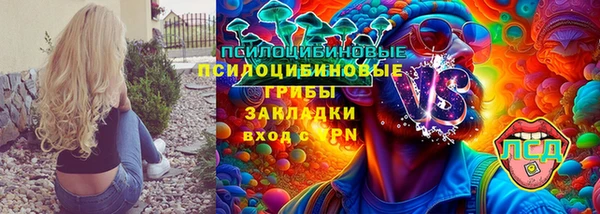 сатива Беломорск