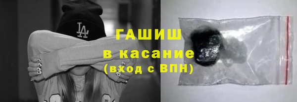 сатива Беломорск