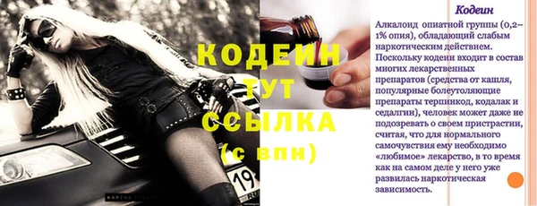 сатива Беломорск