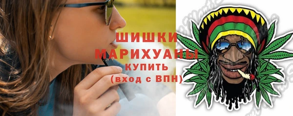 сатива Беломорск